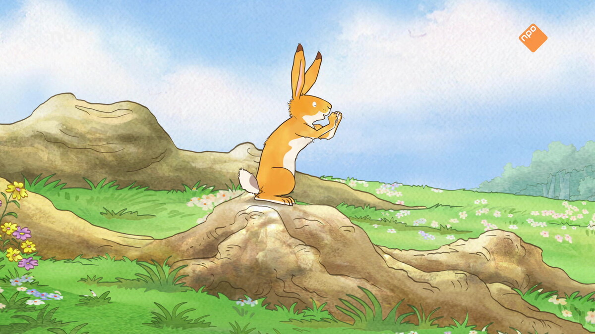 Echospel - Raad eens hoeveel ik van je hou - VPRO